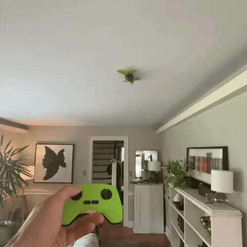 Remote Control Wall Climbing Lizard Toy